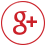 g+